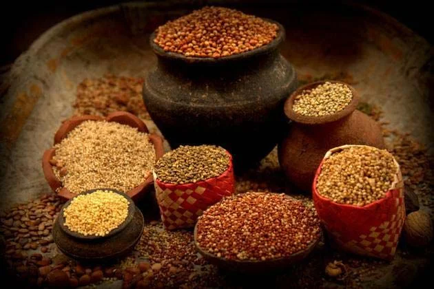 Best Foods to Try in 2026 featuring trending Indian dishes, healthy meals, nutritious snacks, seasonal foods, and global food ideas.