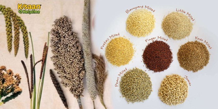Indian food trends 2026 featuring popular Indian dishes, healthy snacks, regional foods, traditional meals, millet-based recipes, and protein-rich food ideas.